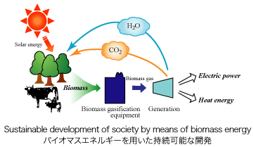 Sustainable development of society by means of biomass energy